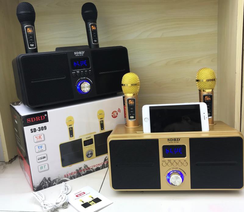 Loa karaoke SD-309 tặng kèm 2 micro không dây - Phu Kien Casu