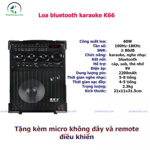 loa bluetooth karaoke