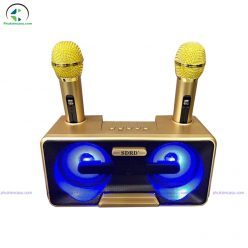 loa bluetooth karaoke sd301