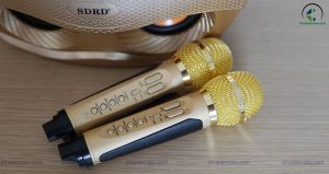 loa kèm mic