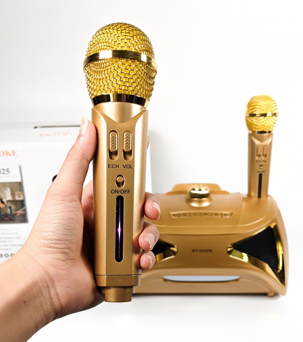 Loa bluetooth karaoke ST 2025