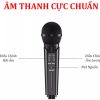 Loa karaoke mini ST-2020